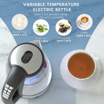 Electric Kettle With Temperature Control